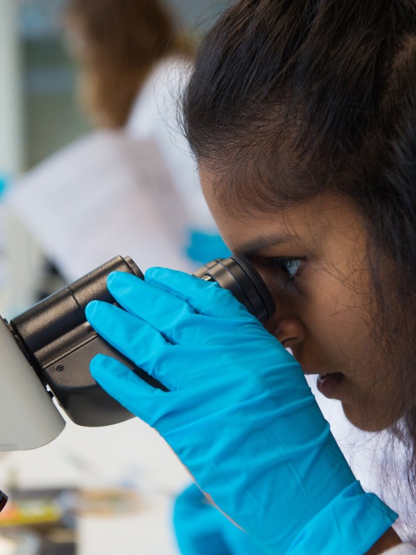 Veterinary Biosciences BSc (Hons) degree course 2025 entry University